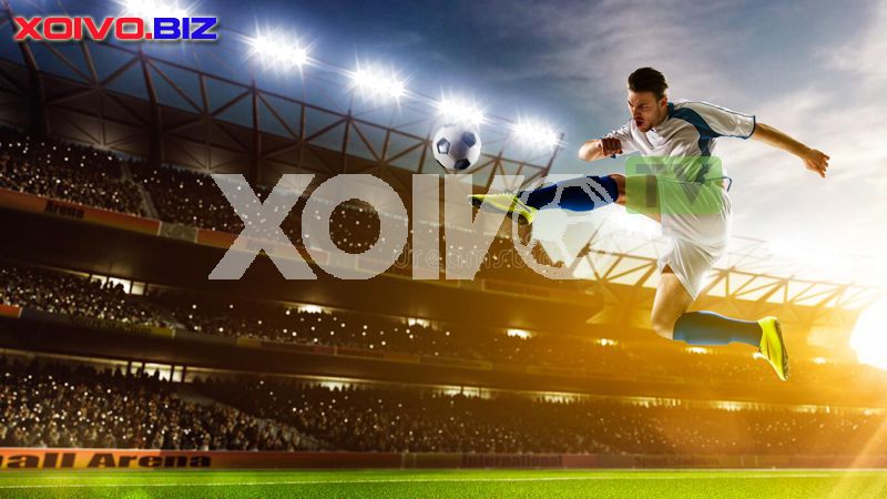 Trải nghiệm thực tế ảo trong một đấu trường đá gà đẳng cấp Bet98 - Bet98