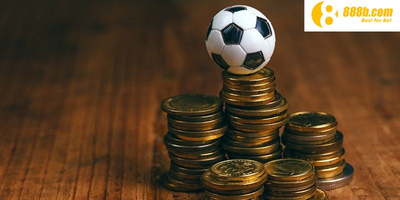 Hiện tại Pg99 hỗ trợ bao nhiêu ngôn ngữ? - Pg99