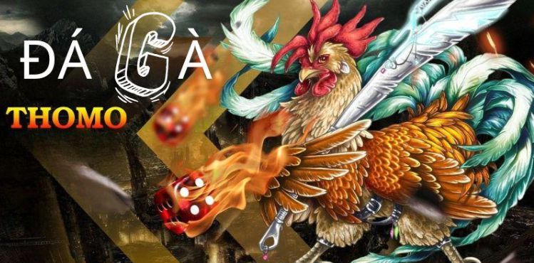 Có kinh nghiệm giảng dạy các khóa học trực tuyến cấp độ Kimsa - Kimsa