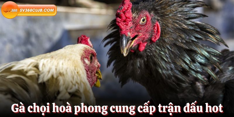 Trang web Pk88 Games cung cấp phần thưởng cho người chơi đăng ký mới - Pk88
