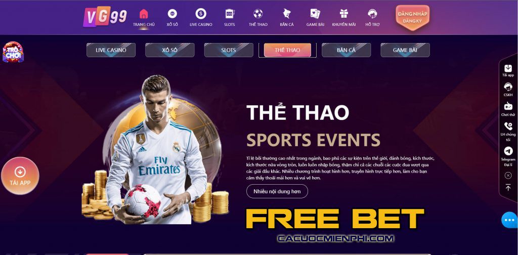 Thương hiệu này được tạo ra bởi một cổng game và cửa hàng game tầm cỡ Fb9 - Fb9