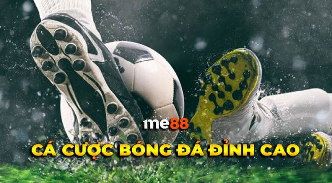 Một bộ sưu tập độc quyền các trò chơi cấp độ Letou, với nội dung vô cùng hấp dẫn - Letou