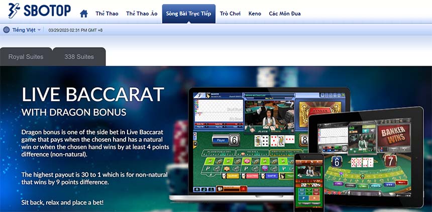 Trò chơi bài trên nền tảng game 88T - 88T