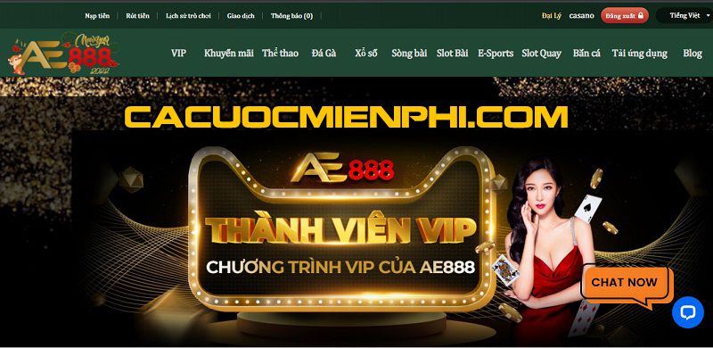 Trang web cá cược 100Win Hướng dẫn nạp tiền 100Win - 100Win