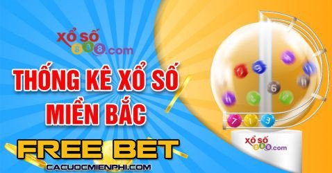 Đánh giá về nhà thi đấu bóng bàn Ok365 - Ok365
