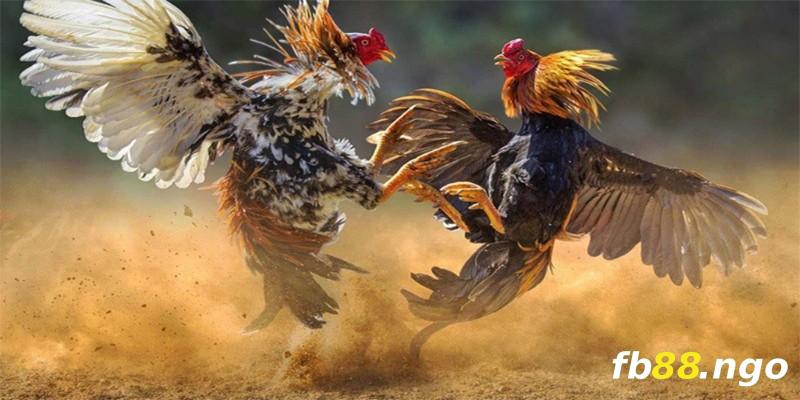 Hồ sơ công ty Fabet Palace Games - Fabet