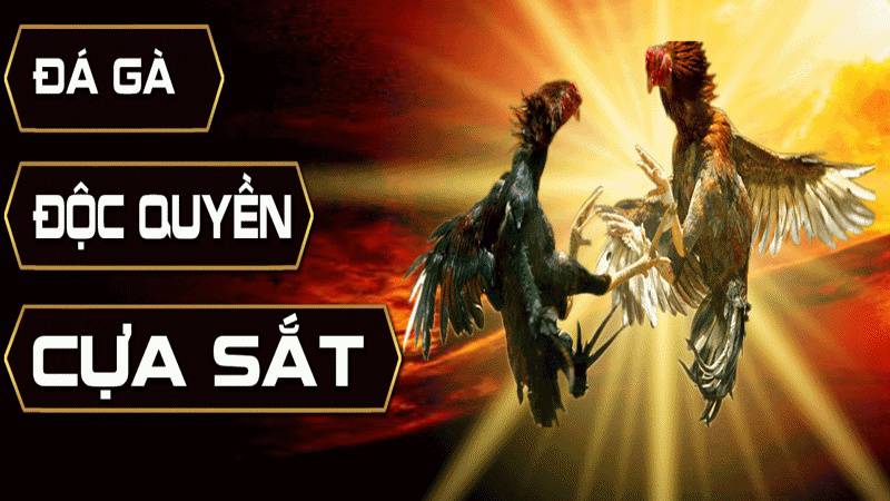Hệ thống chống gian lận Sum99 - Sum99