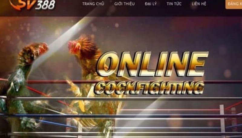 Hướng dẫn và biện pháp phòng ngừa khi rút tiền Sking88 - Sking88