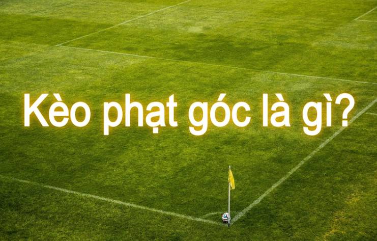 Kiếm tiền trong 1Win bằng cách sử dụng các công cụ và phương pháp - 1Win